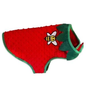 Strawberry 🍓 Velcro Pet Costume